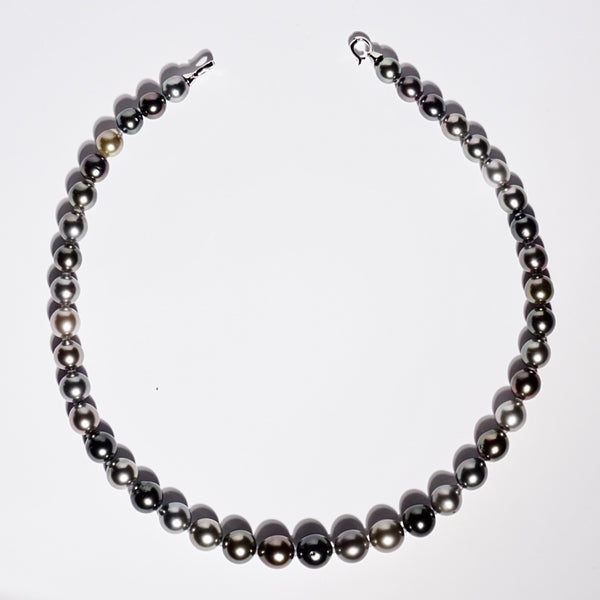 grey tahitian pearl - 8mm - 10mm Strand