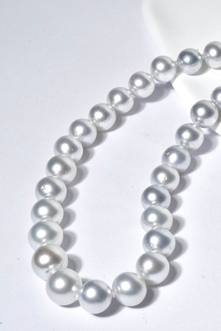 Google-ads-Premium South Sea White Pearl Strand