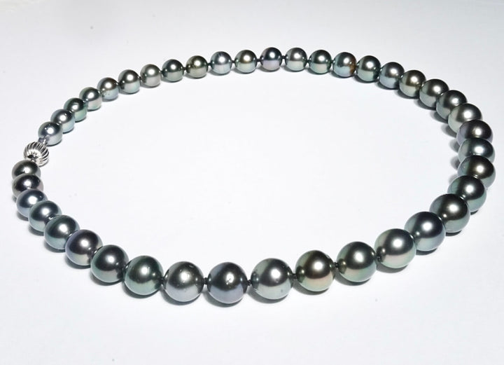 google-ads-Tahitian Black Pearl Strand