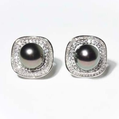 tahitian pearl - stud earrings
